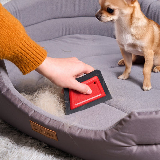 Compact pet hair removal tool lifts stubborn fur from upholstery