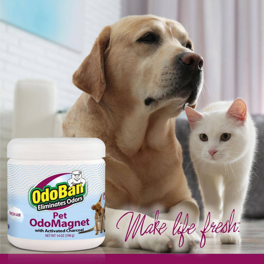 14 Oz. Odomagnet Odor Absorber with Activated Charcoal, Pet Odor Eliminator for Home, Bathroom, Fresh Air Scent (3-Pack)